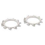 Zahnscheiben DIN 6797